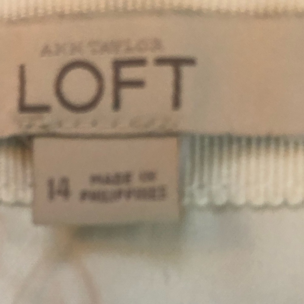 Loft Striped Illusion shift skirt navy blue and white fringe detail size 14 NWT - Picture 7 of 14